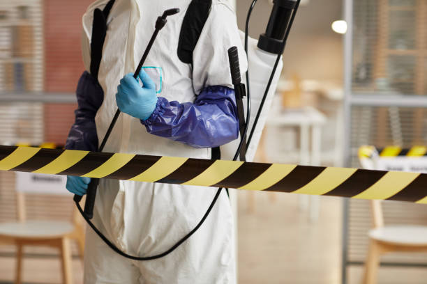 Professional Sewage Cleanup technician working in Tabor, SD